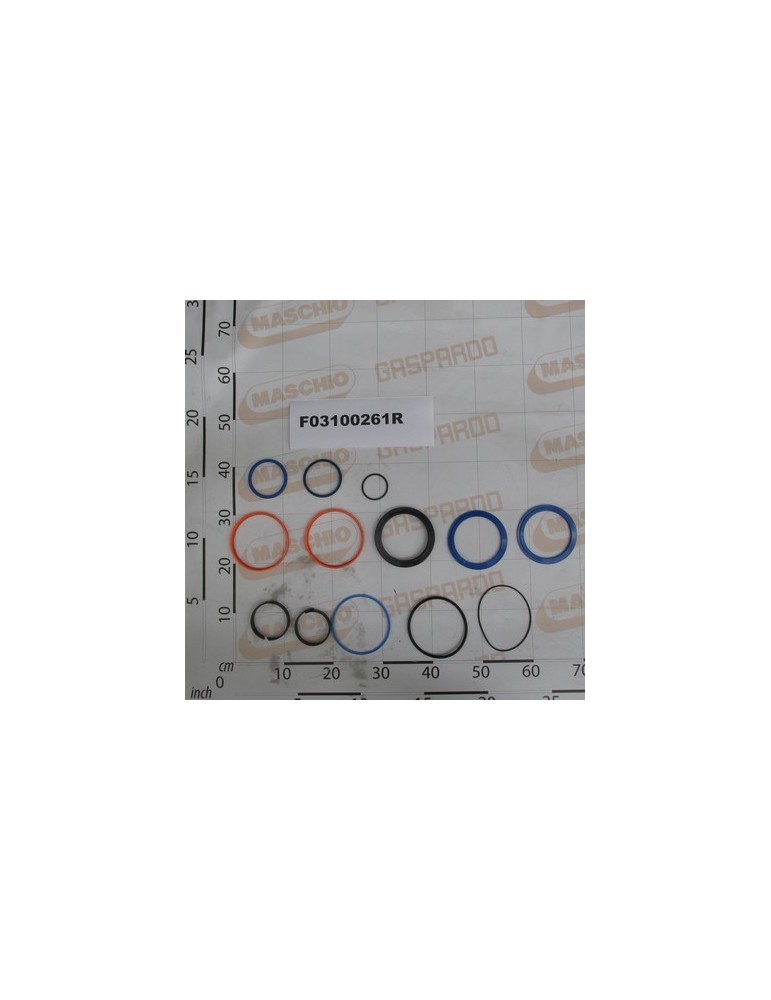 KIT O-RINGS CYL.16115670 D-140