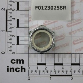 Maschio Gaspardo PIULITA AUTOBL.M20X1,5 D982 6S F01230258R