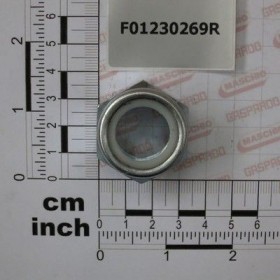 Maschio Gaspardo PIUL.AUTOBL.M22X1,5 D985 6S ZN F01230269R