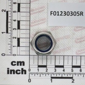 Maschio Gaspardo DADO M18X 2,5 UNI7474 A2 IX F01230305R