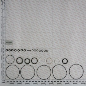 KIT GASKET.HPS MOTOR BR050