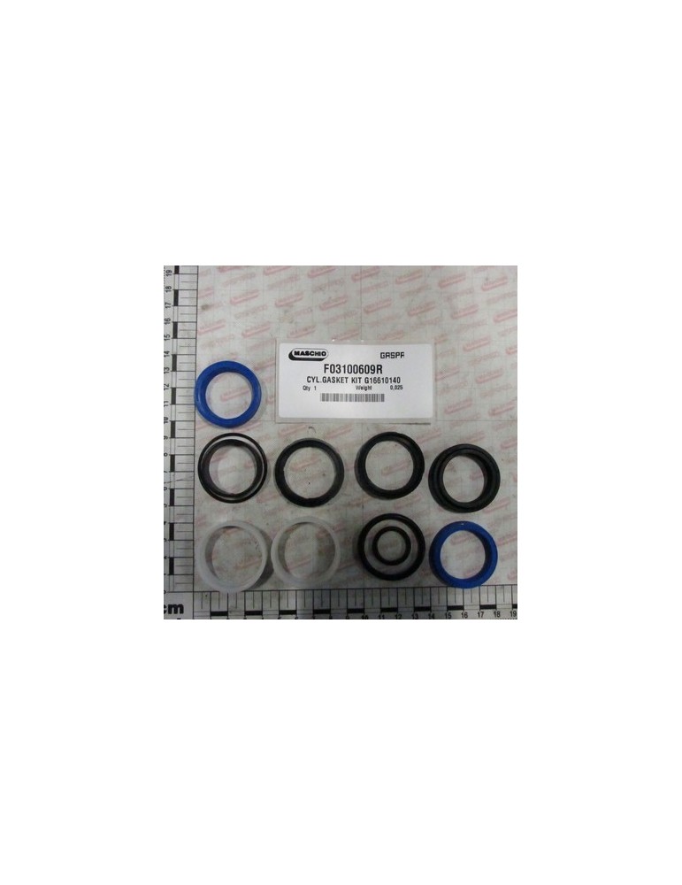 CYL.GASKET KIT G16610140