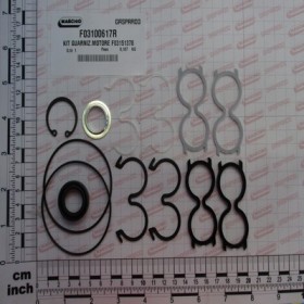 KIT O-RING MOTOR F03151378