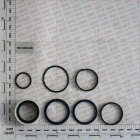 KIT O-RING  CYLINDER G14219220