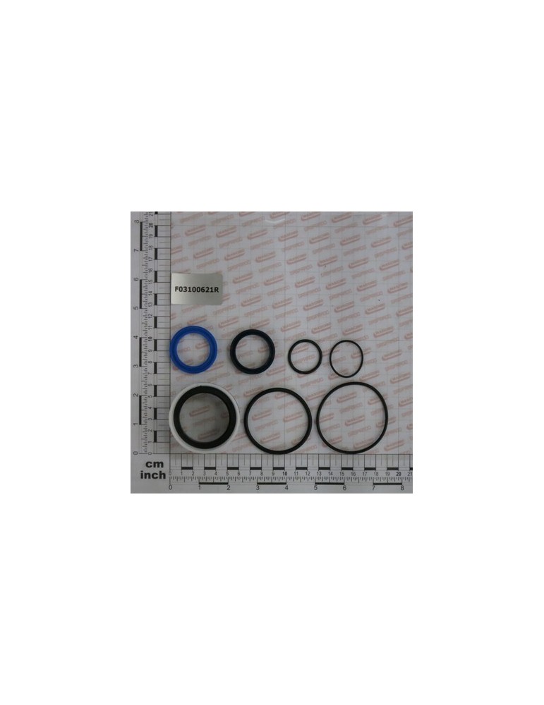 KIT O-RING  CYLINDER G17612800