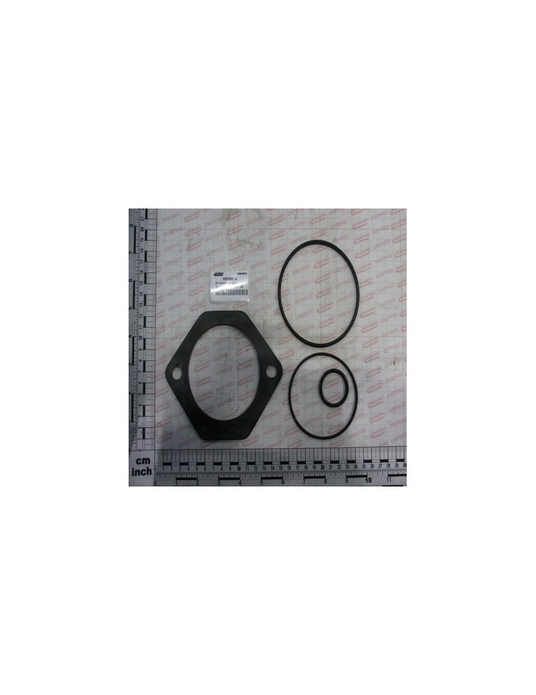 GASKETS KIT