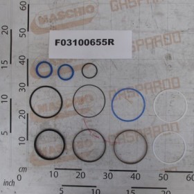 KIT GASKET CYLIN.M32700700-541