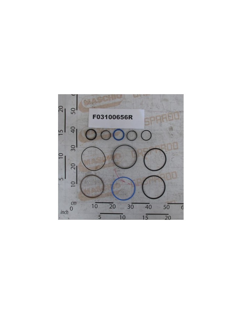 KIT GASKET CYLIND.M32700542  -