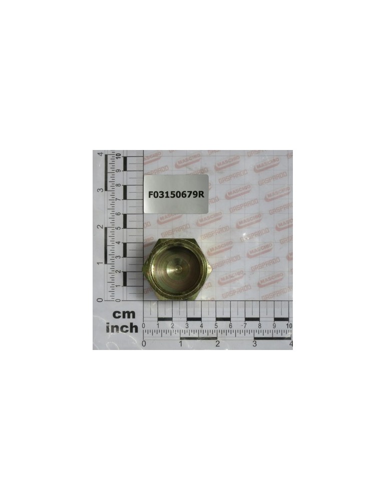 1\'\' FEMALE ZN PLUG