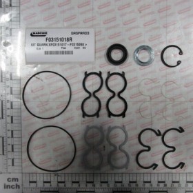 GASKET KIT FOR F03151017