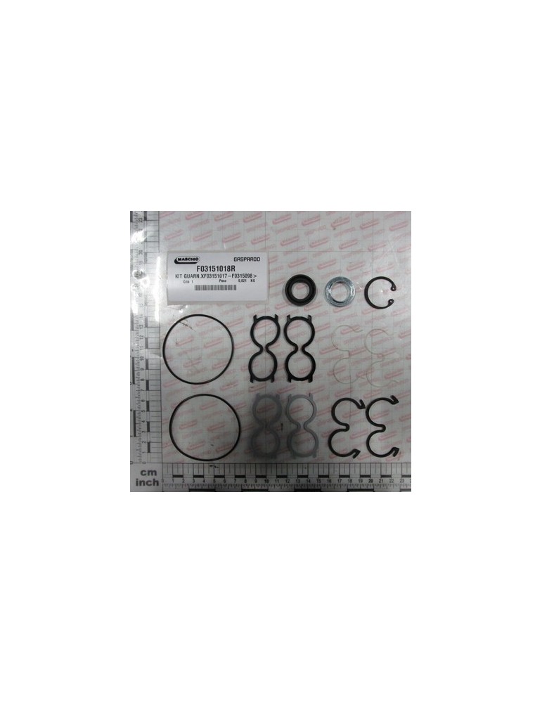 GASKET KIT FOR F03151017