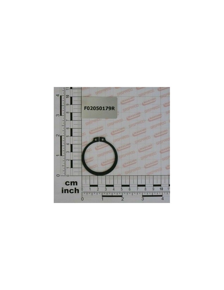 Maschio Gaspardo INEL E. DE 42X1.75 U7435 F02050179R