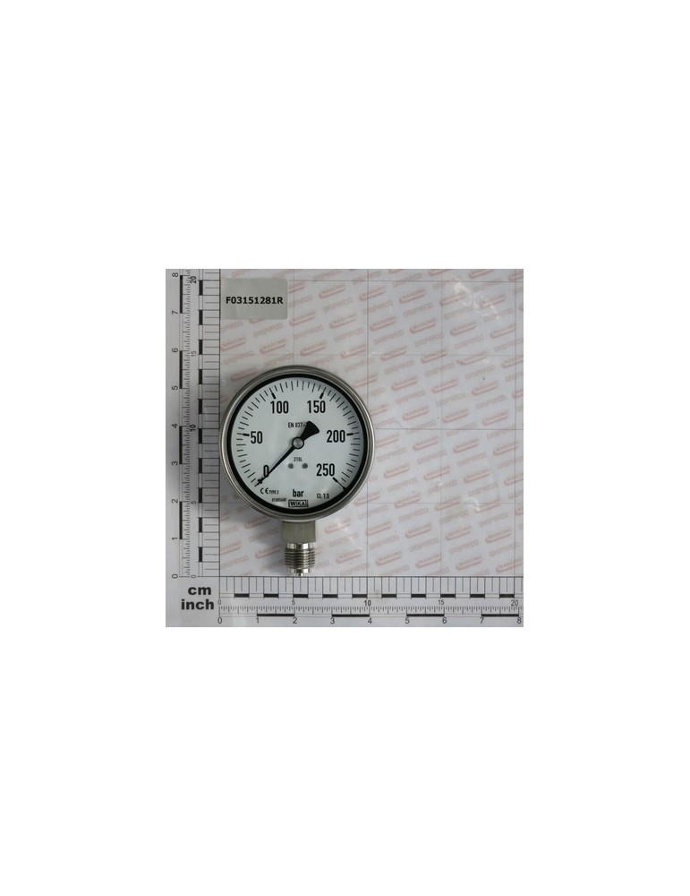 GAUGE 250 BAR ATT.1/2\'D100