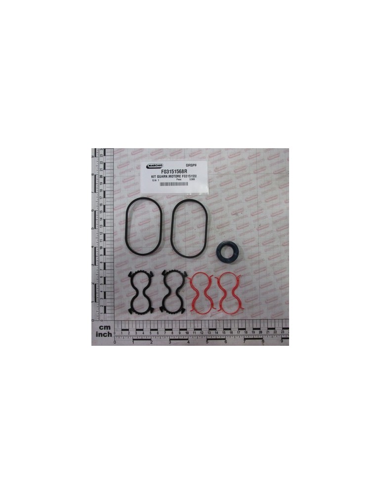 KIT SEALS MOTOR F03151559-1908