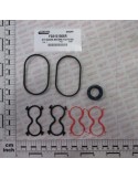KIT SEALS MOTOR F03151559-1908