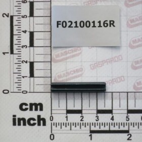 Maschio Gaspardo STIFT E.D. 6X 32 U6873 C70 BR F02100116R