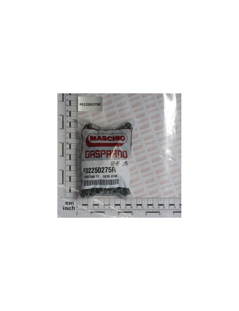 Maschio Gaspardo NIT TT 6X30 QTY 126 F02250275R