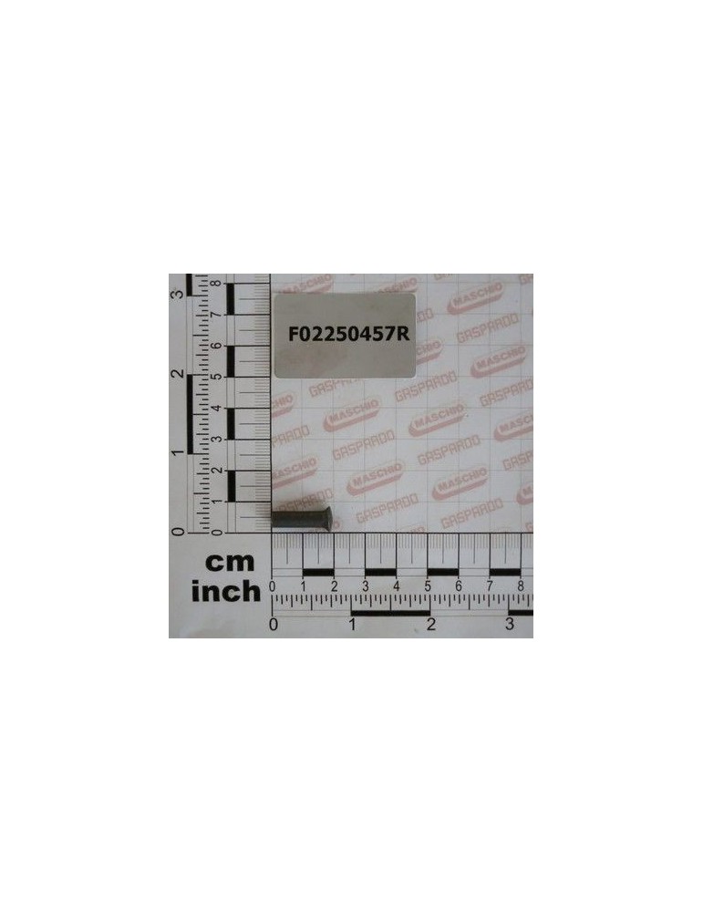 Maschio Gaspardo NIT CAP TESIT 5.4X19.8 U752 F02250457R