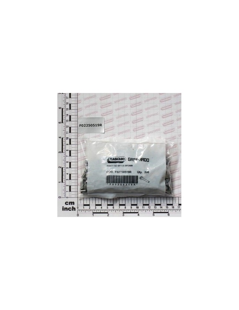 Maschio Gaspardo NIT TSC 6X13,8 QTY 200 F02250519R