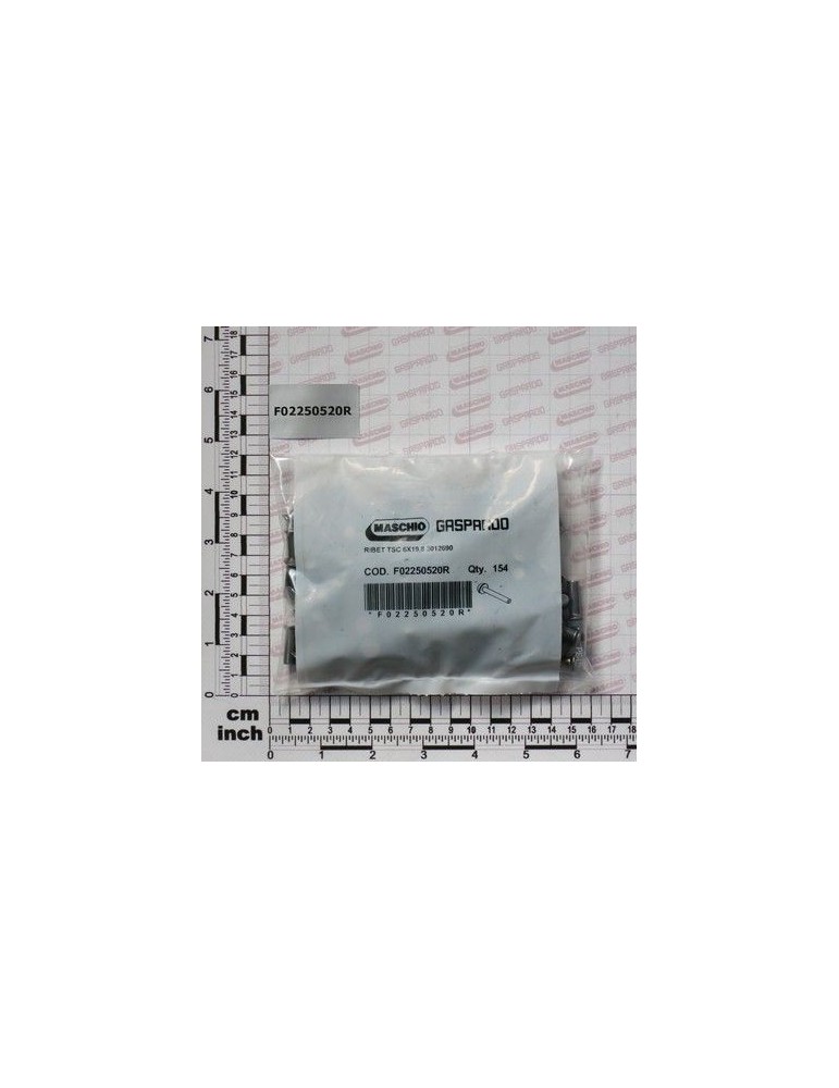 Maschio Gaspardo NIT TSC 6X19,8 QTY 154 F02250520R