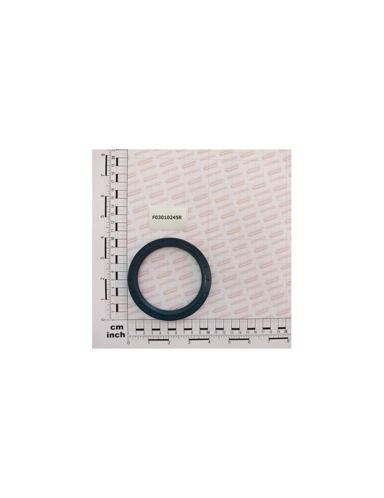 Maschio Gaspardo INEL T.A. 80X100X10 D3760NBR F03010245R