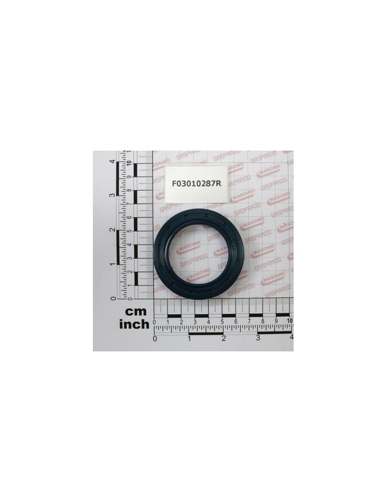 Maschio Gaspardo INEL T.AS 45X65X10 D3760NBR F03010287R