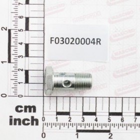 Maschio Gaspardo VITE FORATA GAS 1/4ï¾´ï¾´-19 F03020004R