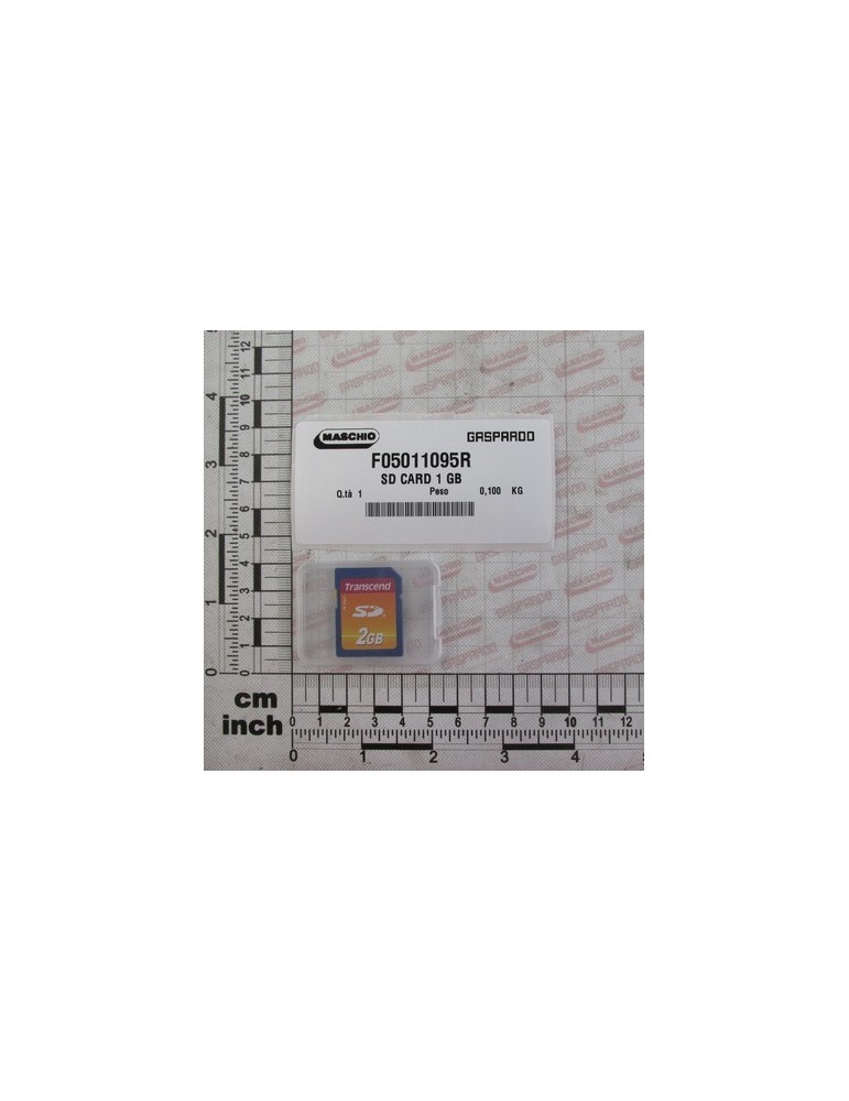 SD CARD 1 GB.