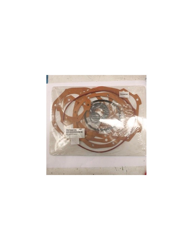 Maschio Gaspardo SERIE GARNITURI DE SCHIMB DM F03100072R