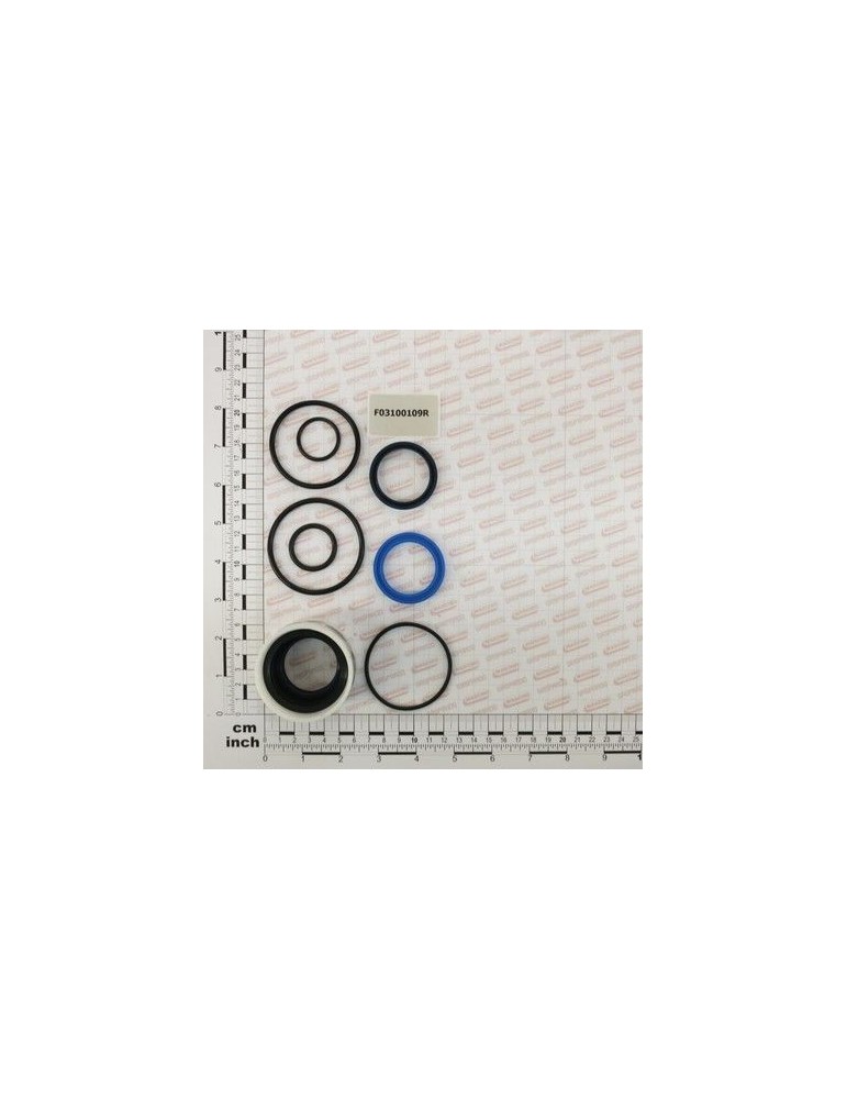 Maschio Gaspardo SERIE GARNIT.PIST.36200688 DC F03100109R