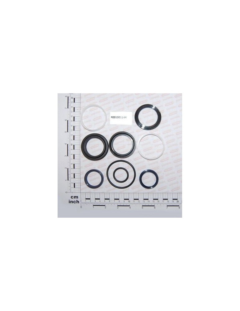 Maschio Gaspardo SERIE GARNIT. CIL. 76100771 F03100114R