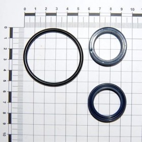 Maschio Gaspardo SET GARN.CILINDRU 13812061 F03100180R