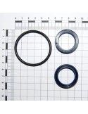 Maschio Gaspardo SET GARN.CILINDRU 13812061 F03100180R