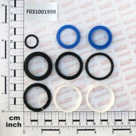 Maschio Gaspardo KIT GUARNIZ.CILINDRO 16910340 F03100199R