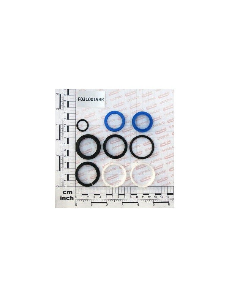 Maschio Gaspardo KIT GUARNIZ.CILINDRO 16910340 F03100199R