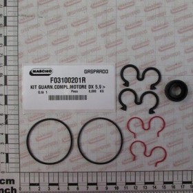 Maschio Gaspardo SET GARN.MOTOR 67007449 F03100201R