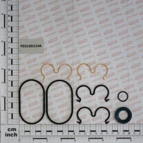 Maschio Gaspardo KIT GAR. MOTOR DX20.8 ANTIC. F03100224R