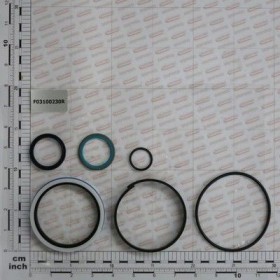 Maschio Gaspardo KIT GUARNIZ.CILINDRO 17913720 F03100230R