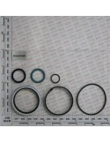 Maschio Gaspardo KIT GUARNIZ.CILINDRO 17913720 F03100230R