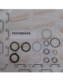 Maschio Gaspardo KIT GUARNIZ.CILINDRO R17210822 F03100241R