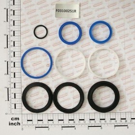 Maschio Gaspardo KIT GUAR.CILIND. R18512800/810 F03100251R