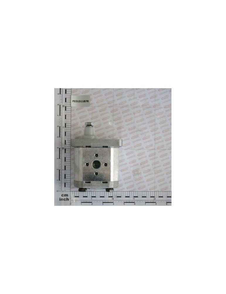 Maschio Gaspardo POMPA CU PINIOANE 19L. 1000G. F03151187R