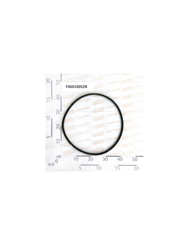 SPEX/5VX BELT L.1250