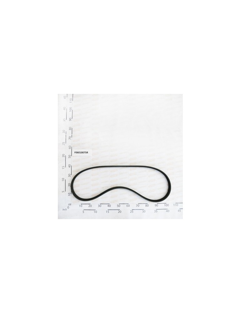 BELT XPB/2   L-2457