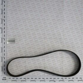 BELT- POLI-V 914 J-16 GOLE