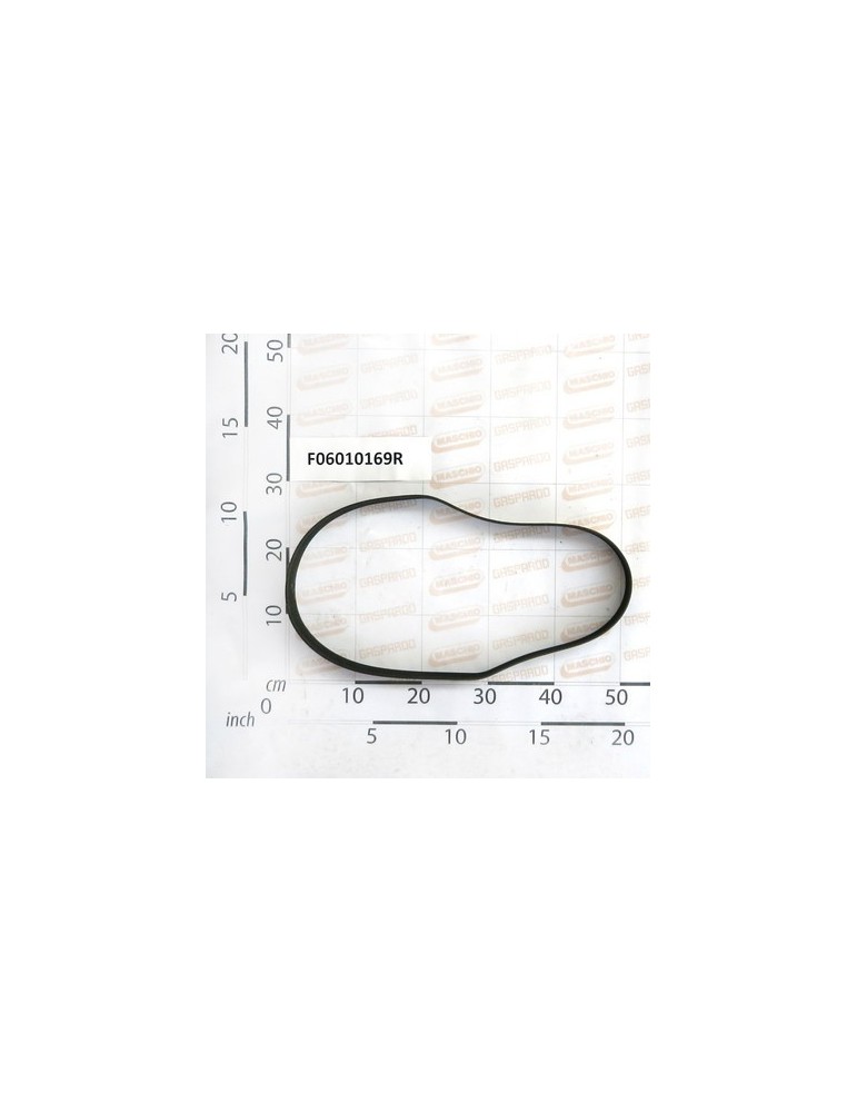 BELT POLY V 1244 J-20 CU GAT