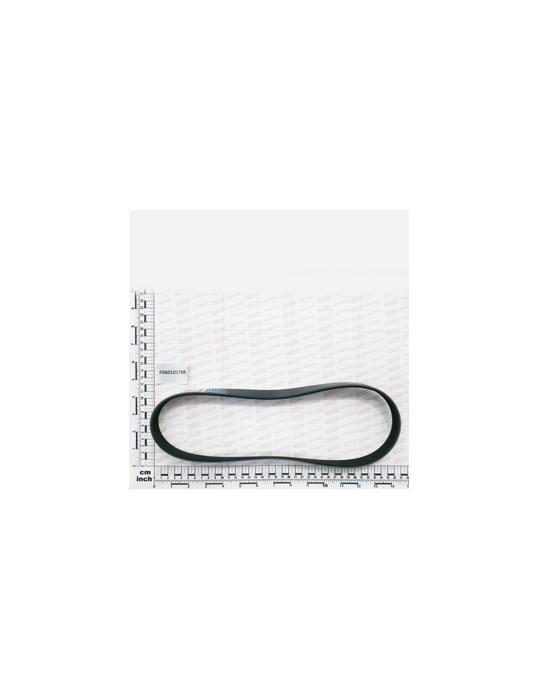 BELT POLY V 815 K- 6 GOLE