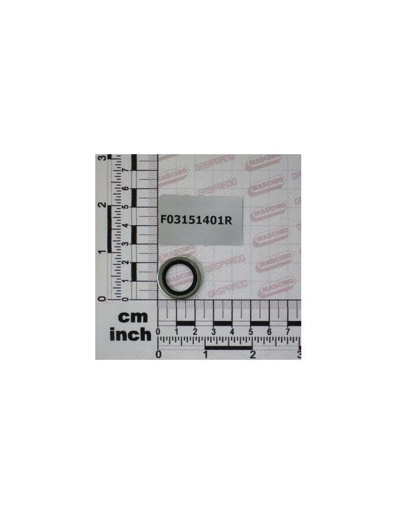 Maschio Gaspardo RONDELA BONDED SEAL 3/8ï¾´ï¾´ NBR F03151401R