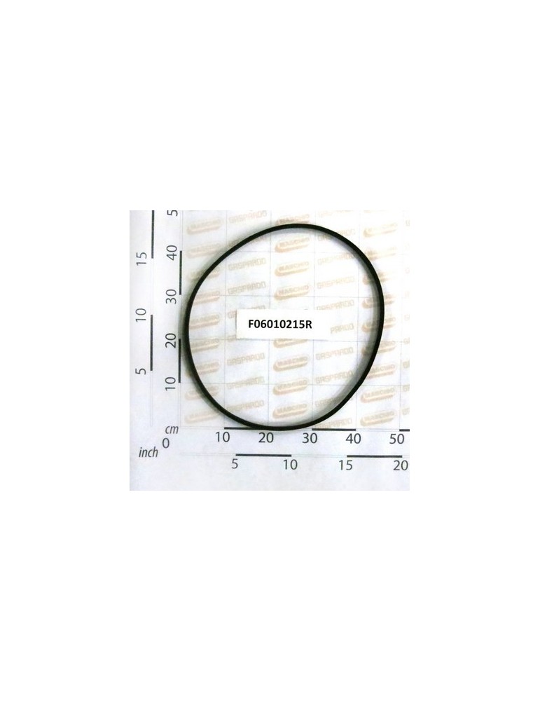 BELT- A 54