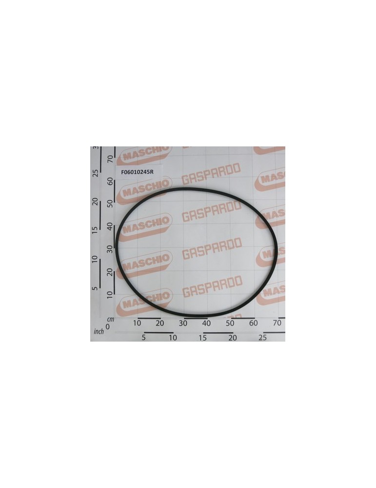 BELT B75 17 L.2650